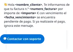 Plantilla inteligente en mensaje RCS con campos predefinidos para email o SMS